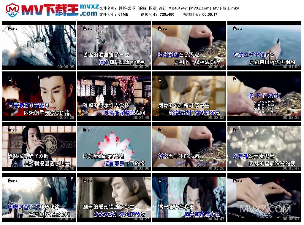 枫舞-丢不下的缘_国语_流行_MB404947